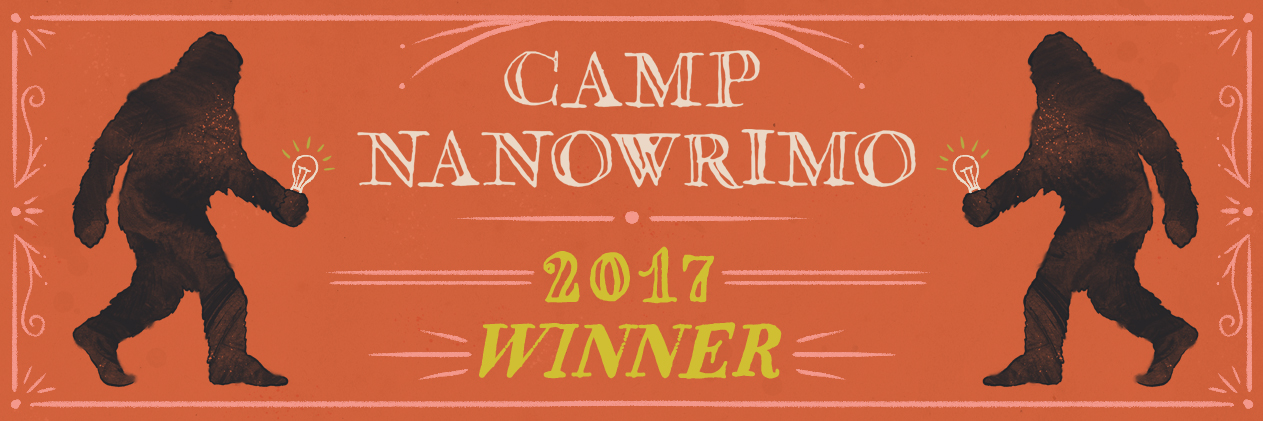 Camp-2017-Winner-Twitter-Header.jpg
